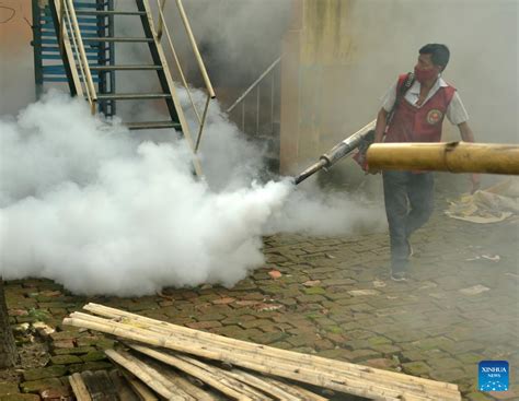 Dengue Cases Surge In Bangladesh With Over 11000 Hospitalized Xinhua