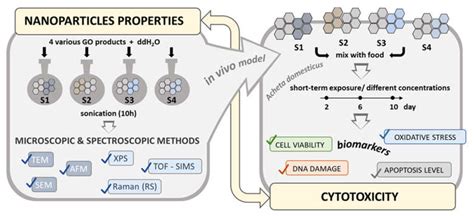 Ijms Free Full Text The Structurepropertiescytotoxicity Interplay