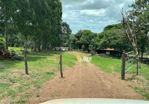 Ch Caras Venda Na Zona Rural Em Vazante Chaves Na M O