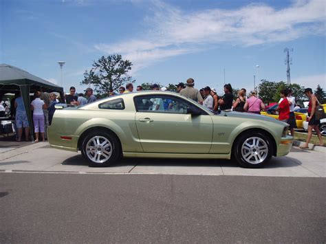 2005 Gt Ford Mustang Photo Gallery