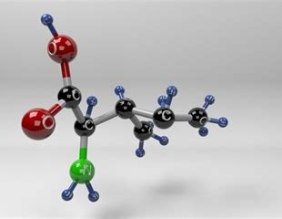 Importance of Differentiating Between Leucine and Isoleucine