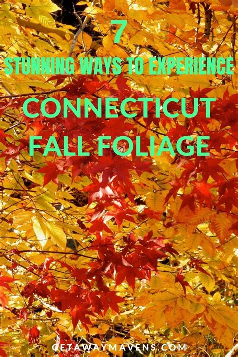 7 Stunning Ways to Experience Connecticut Fall Foliage - Getaway Mavens