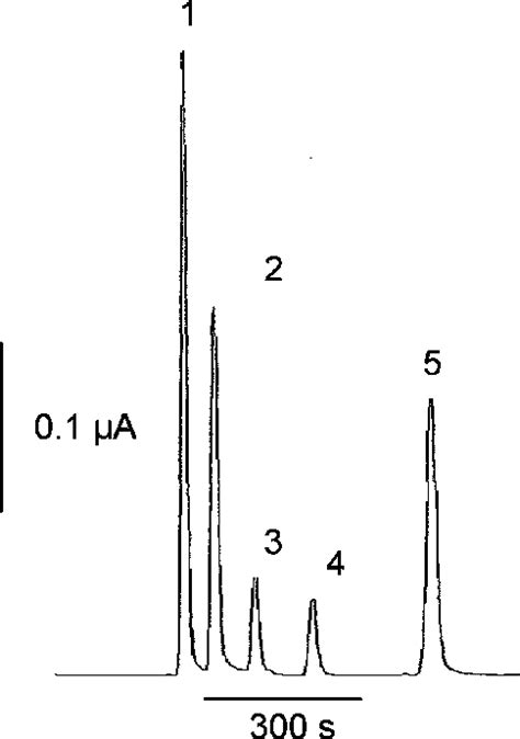 Chromatogram Obtained From A Standard Solution Containing 30 × 10 −5 Download Scientific