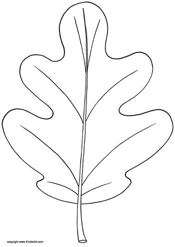 Oak Leaf Coloring Page — KinderArt