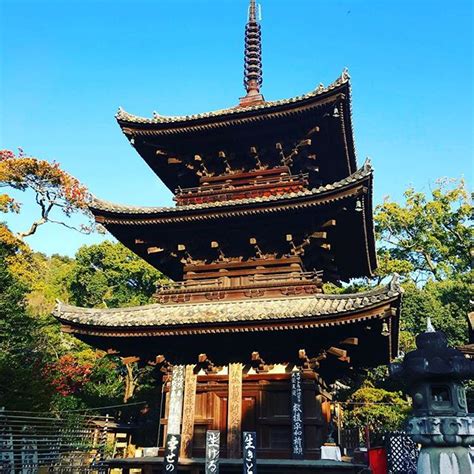 伊佐爾波神社初詣からの、石手寺参拝。こちらも、なかなかの人出。これでひとまずお詣り完了で、ひと段落。 Scene790wp