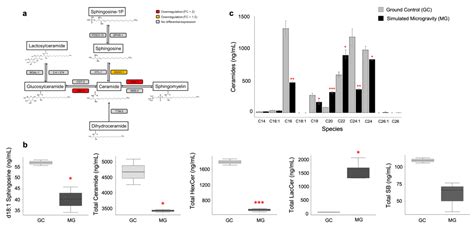 Cells Free Full Text Transcriptomic Signature Of The Simulated