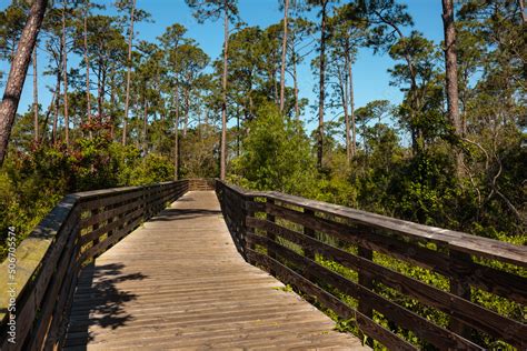 Bike trail and walking trail over the boardwalk bicycle trails within Gulf State Park, Gulf ...