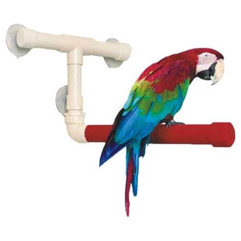 Shower Bird Perch | Breeders Secret Bird Products