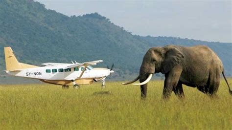 Nairobi 3 Day Masai Mara Safari With Luxury Lodge Flights GetYourGuide