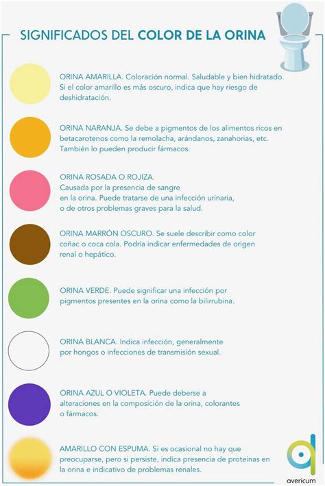 Avericum Qu Informaci N Nos Aporta El Color De La Orina