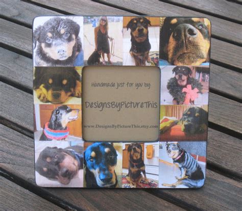 Pet Memorial Frame Pet Collage Picture Frame Personalized - Etsy