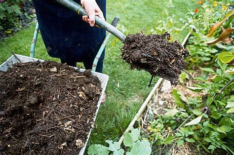 Quelques Conseils Pour Choisir Le Bon Terreau Pour Ses Plantes