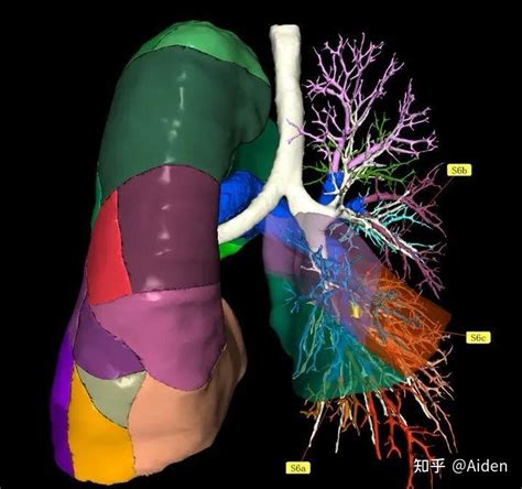 医疗影像三维重建 知乎