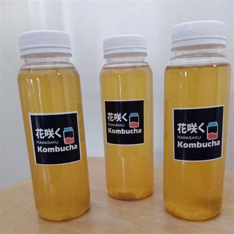 Jual Kombucha Teh Fermentasi Shopee Indonesia