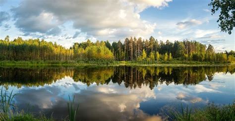 Sommerabendlandschaft Auf Ural See Mit Kiefern Auf Dem Ufer Russland