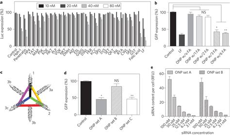 In Vitro Screening And Gene Silencing Using Onps A Screening Of