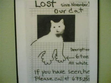 Best Lost And Found Pet Signs Help Bring Attention & Smiles To ...