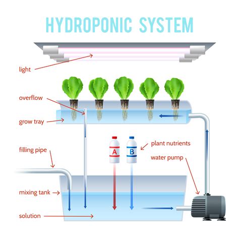 Diagram Of Hydroponics System