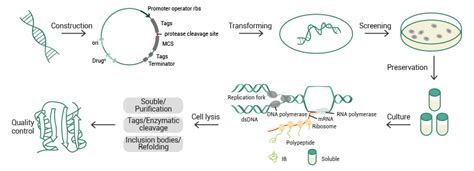 Frontiers Challenges Associated With The Formation Of Off