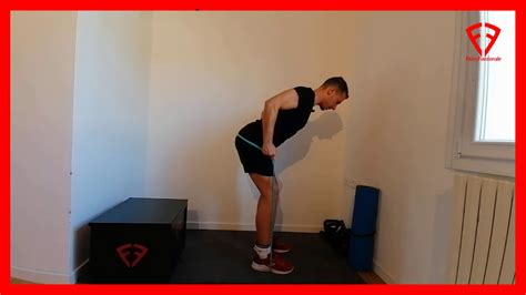 Scheda Allenamento Elastici Massa Petto Spalle Tricipiti Scheda Elastic