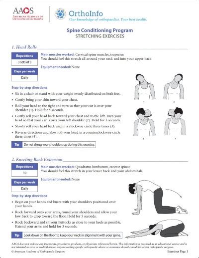 Spine Rehabilitation Exercises Orthoinfo Aaos