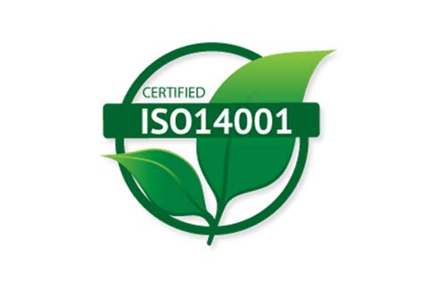 Сертификат Iso 14001 для бизнеса