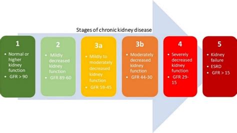 Stages Of Kidney Disease Chart