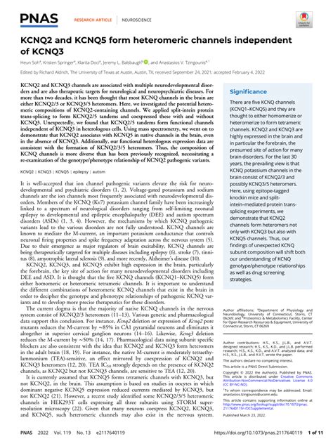 PDF KCNQ2 And KCNQ5 Form Heteromeric Channels Independent Of KCNQ3