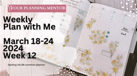 Plan With Me March Week In My Sterling Ink B Common