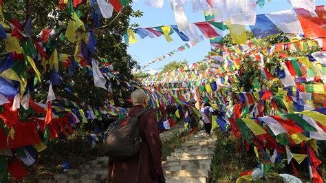 Ling Jiou Mountain Buddhist Web Tv A Journey To The Himalayas The Ljm