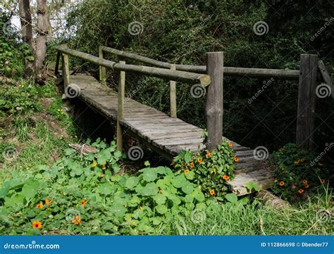 Wooden Plank Bridge In A Field Of Nasturtiums On Winery Lands Stock