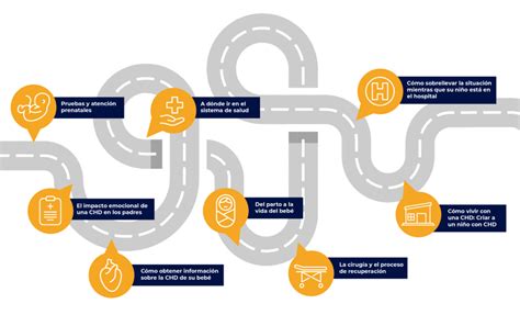 El Proceso Del Tratamiento De La CHD CHD Care Compass