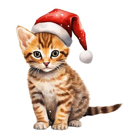 P Gina Psd Gato Usando Chapeu Papai Noel Modelos Psd Gr Tis