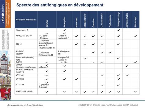 M Canismes Daction Des Antifongiques Ppt T L Charger