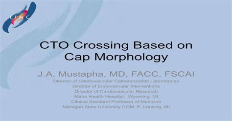 Pdf Cto Crossing Based On Cap Morphology · Cto Crossing Based On Cap