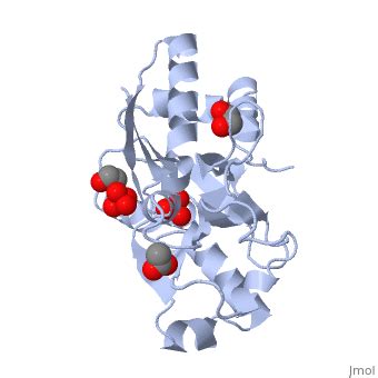 1atg Proteopedia Life In 3D