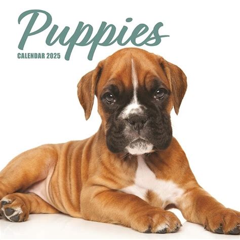 Puppies Kalender Kopen Bestel Eenvoudig En Snel Online