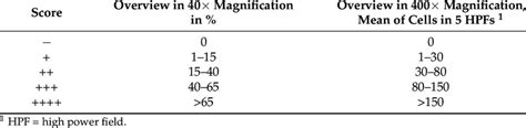 Scoring System For Immunohistochemistry And In Situ Hybridization