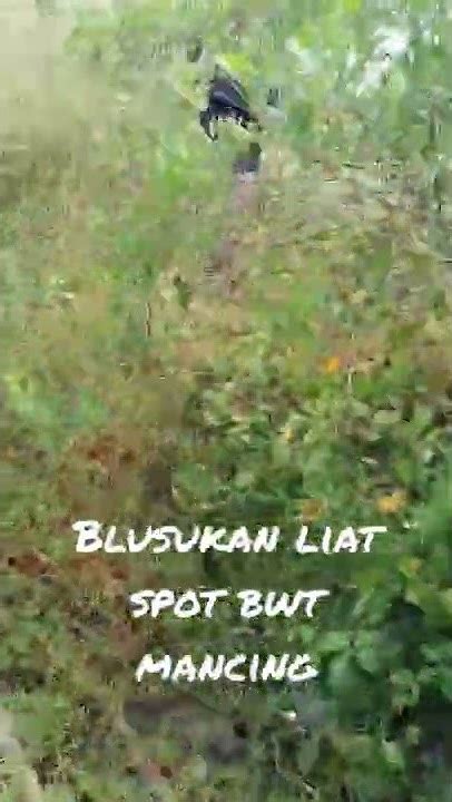 Blusukan Nyari Spot Mancing Youtube