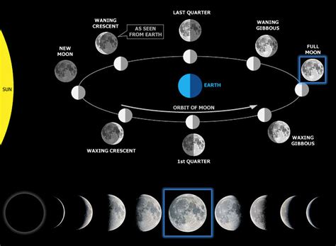 Moon to the Eclipse: 8/7/17 Full Moon | Exploratorium