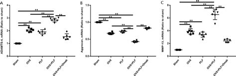 Mrna Expression Of Adamts Aggrecan And Mmp In Different Groups