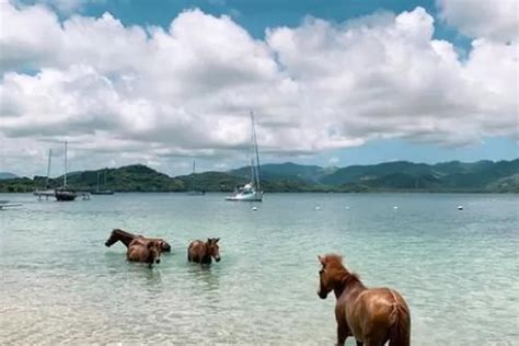 Gili Asahan Wisata Alam Yang Wajib Dikunjungi Di Lombok Barat Mengerti