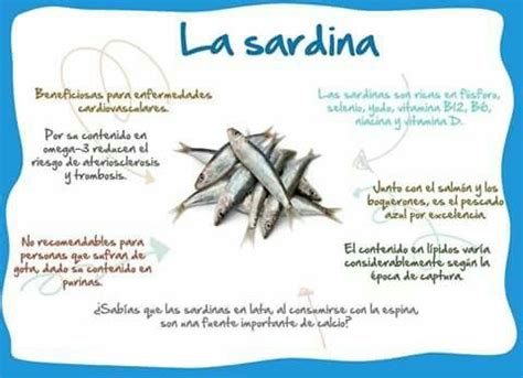 Beneficios De La Sardina Sardinas Vitamina E Propiedades De La