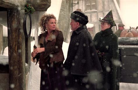 Rosmerta, Fudge and McGonagall enter The Three Broomsticks — Harry ...