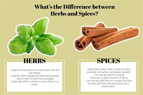 Whats The Difference Between Herbs And Spices