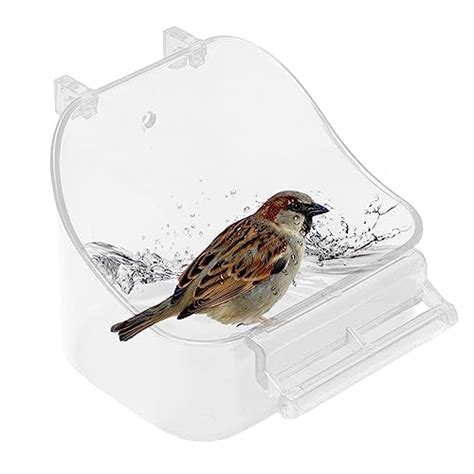 Baignoire Oiseaux Pour Perruches Bain Pour Perroquet Cage Oiseaux