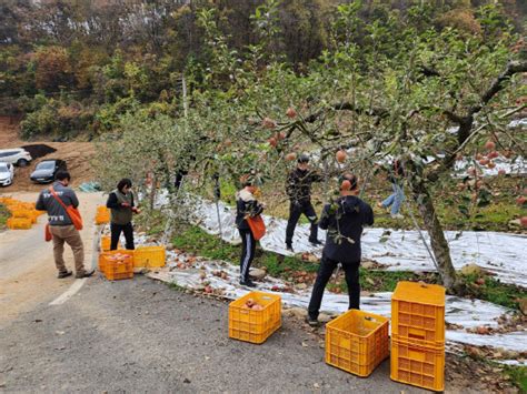 충주시 우박피해 농가 위한 일손돕기 및 판촉 지원