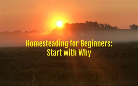 Homesteading for Beginners: Start with Why - Part 1 - Small Scale Life