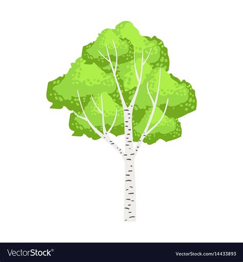 Green birch tree colorful cartoon Royalty Free Vector Image