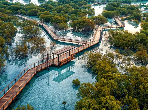 JUBAIL MANGROVE PARK LAUNCHES A SERIES OF FAMILY FRIENDLY ACTIVITIES ...